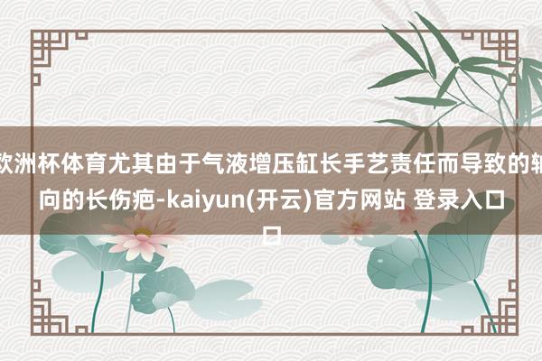 欧洲杯体育尤其由于气液增压缸长手艺责任而导致的轴向的长伤疤-kaiyun(开云)官方网站 登录入口