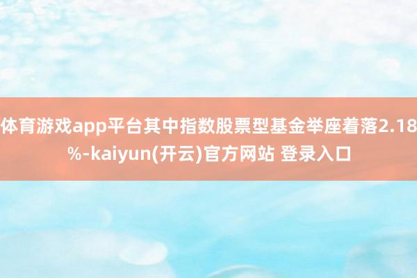 体育游戏app平台其中指数股票型基金举座着落2.18%-kaiyun(开云)官方网站 登录入口