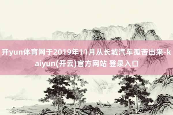 开yun体育网于2019年11月从长城汽车孤苦出来-kaiyun(开云)官方网站 登录入口