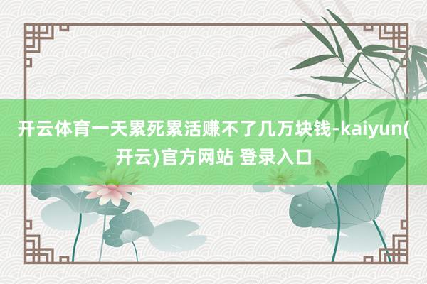 开云体育一天累死累活赚不了几万块钱-kaiyun(开云)官方网站 登录入口