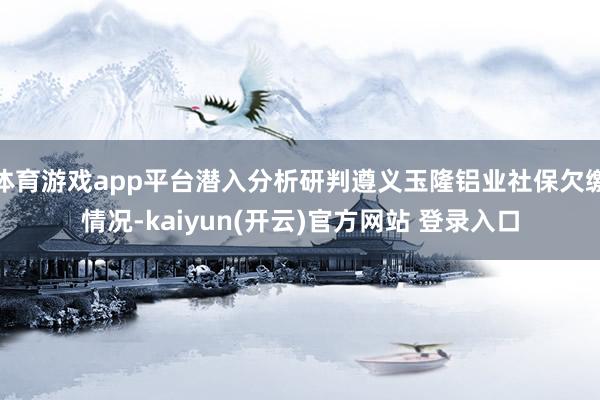 体育游戏app平台潜入分析研判遵义玉隆铝业社保欠缴情况-kaiyun(开云)官方网站 登录入口