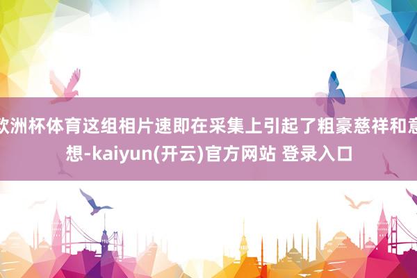 欧洲杯体育这组相片速即在采集上引起了粗豪慈祥和意想-kaiyun(开云)官方网站 登录入口