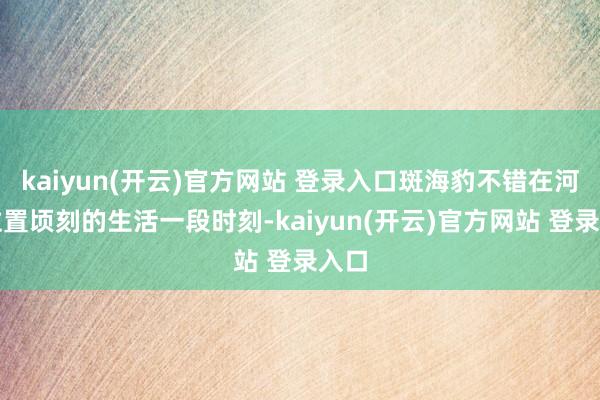 kaiyun(开云)官方网站 登录入口斑海豹不错在河口位置顷刻的生活一段时刻-kaiyun(开云)官方网站 登录入口
