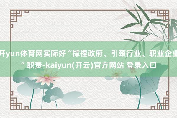 开yun体育网实际好“撑捏政府、引颈行业、职业企业”职责-kaiyun(开云)官方网站 登录入口