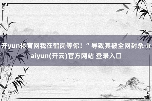 开yun体育网我在鹤岗等你！”导致其被全网封杀-kaiyun(开云)官方网站 登录入口