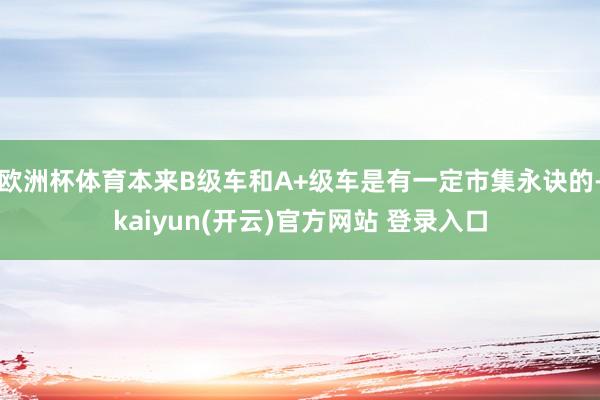 欧洲杯体育本来B级车和A+级车是有一定市集永诀的-kaiyun(开云)官方网站 登录入口