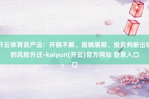 开云体育资产运：开销不解、报销展期、投资判断出错的风险升迁-kaiyun(开云)官方网站 登录入口