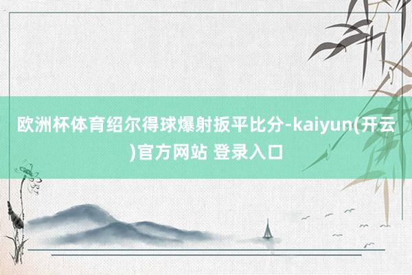 欧洲杯体育绍尔得球爆射扳平比分-kaiyun(开云)官方网站 登录入口