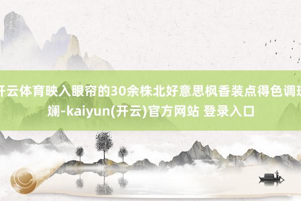 开云体育映入眼帘的30余株北好意思枫香装点得色调斑斓-kaiyun(开云)官方网站 登录入口
