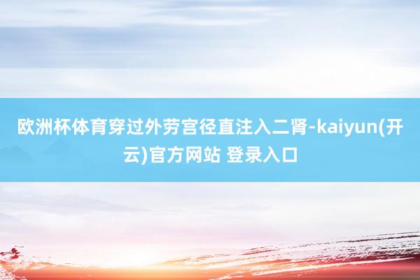 欧洲杯体育穿过外劳宫径直注入二肾-kaiyun(开云)官方网站 登录入口