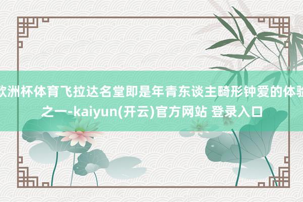 欧洲杯体育飞拉达名堂即是年青东谈主畸形钟爱的体验之一-kaiyun(开云)官方网站 登录入口