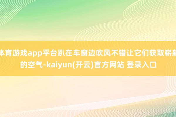 体育游戏app平台趴在车窗边吹风不错让它们获取崭新的空气-kaiyun(开云)官方网站 登录入口