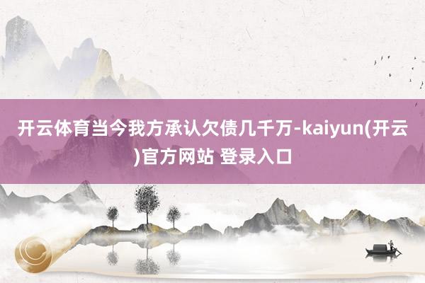 开云体育当今我方承认欠债几千万-kaiyun(开云)官方网站 登录入口