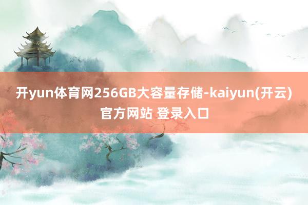 开yun体育网256GB大容量存储-kaiyun(开云)官方网站 登录入口