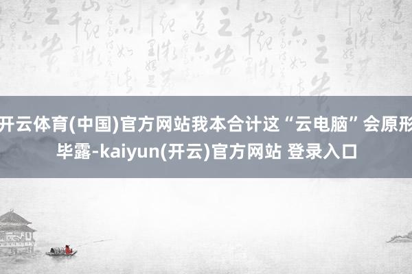 开云体育(中国)官方网站我本合计这“云电脑”会原形毕露-kaiyun(开云)官方网站 登录入口