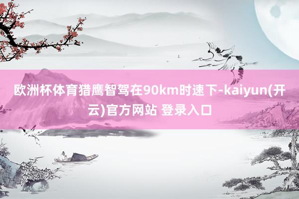 欧洲杯体育猎鹰智驾在90km时速下-kaiyun(开云)官方网站 登录入口