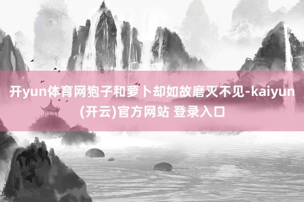 开yun体育网狍子和萝卜却如故磨灭不见-kaiyun(开云)官方网站 登录入口