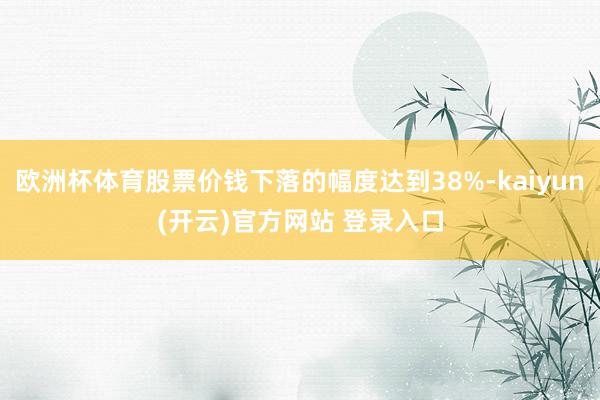 欧洲杯体育股票价钱下落的幅度达到38%-kaiyun(开云)官方网站 登录入口